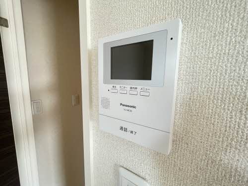 Canna S ** A0203号-7