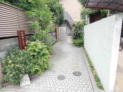 水前寺こまち ** A0202号-15