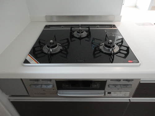 Ｓｏｌｅｉｌ　ｌｅｖａｎｔ白水　＊ A0101号-11