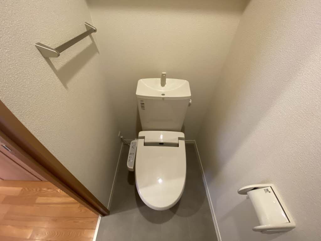 Ｒａｆｆｉｎｅ　＊ A0102号-6