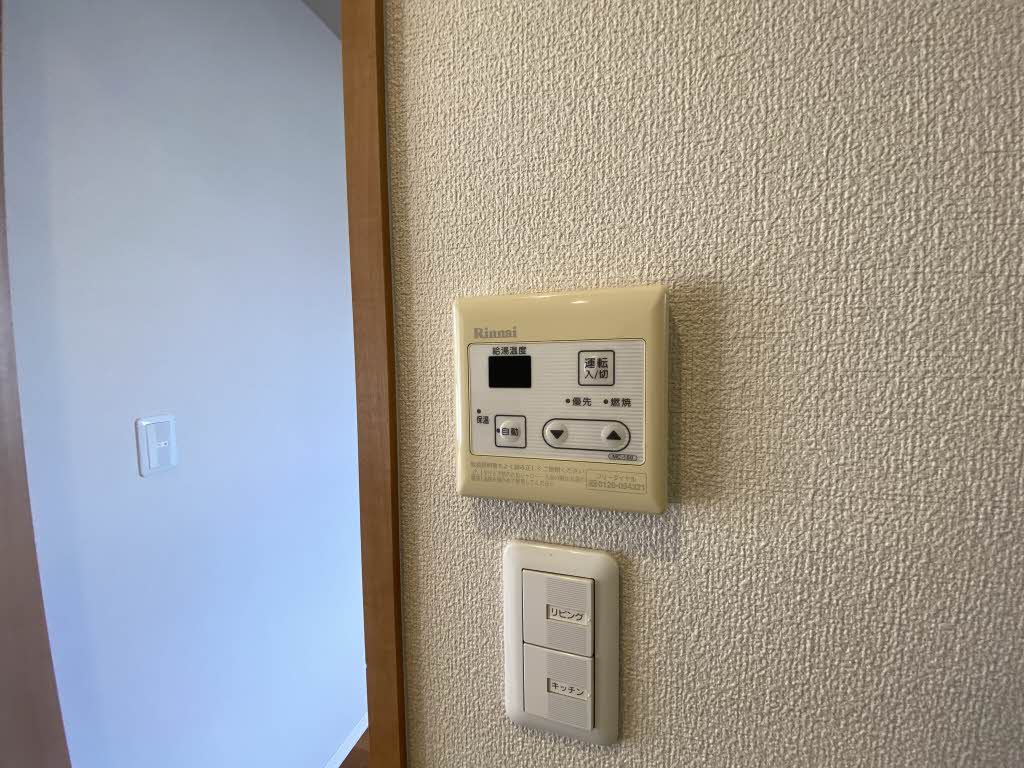 Ｒａｆｆｉｎｅ　＊ A0102号-14