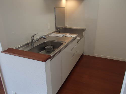 プライムメゾン　セントラルパーク E1303号-3