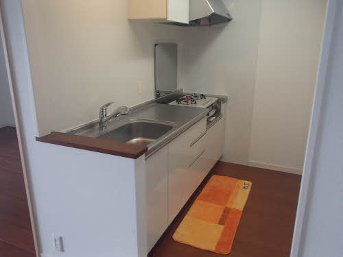 プライムメゾン　セントラルパーク S0910号-4