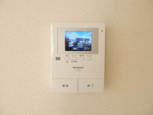 コスモス　＊＊ A0201号-9