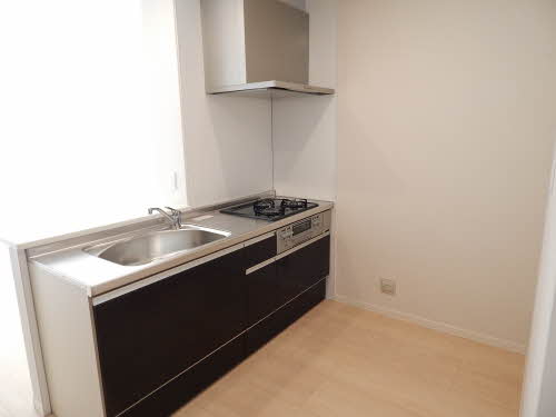 プルメリア　＊＊ A0103号-4