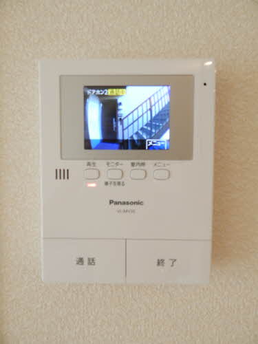 プルメリア　＊＊ A0103号-11