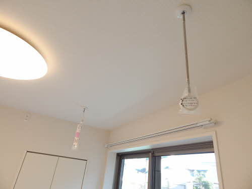 プルメリア　＊＊ A0103号-14