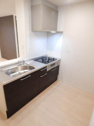 Reich Werden(ライヒヴェルデン) * A0101号-3