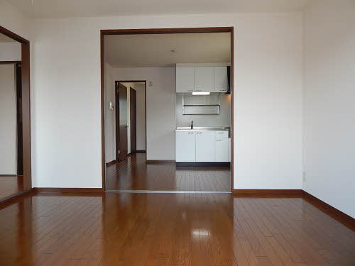 ジュンベリー C0201号-13