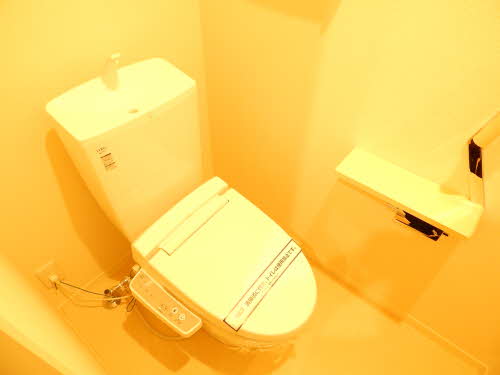 シャーメゾン　ハナブサ　＊＊ A0102号-13