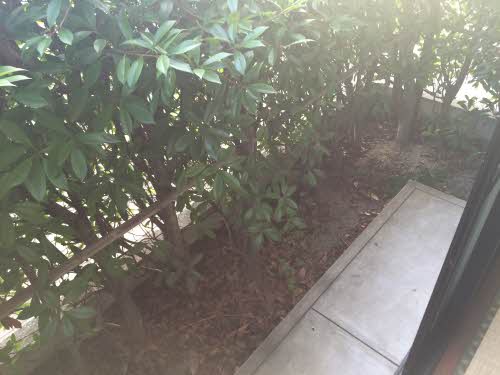 ディアス大里 A棟 A0102号-5