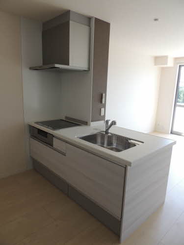 スリーゼⅢ棟 A0203号-3