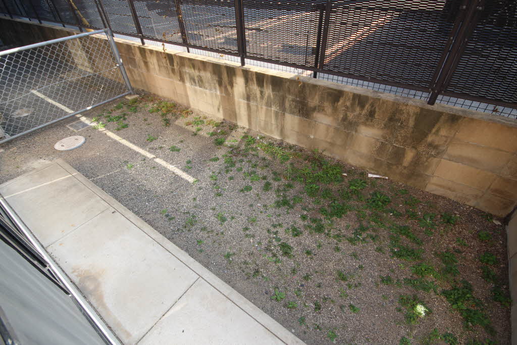 ディアスタウン　Ｂ棟　＊ B0102号-13