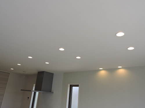 セントリビエ英＊ A0203号-14