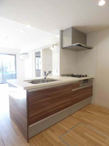 ＳＨＭ　Ｓｐｒｉｎｇ　Ｔｅｒｕ　＊ A0203号-7