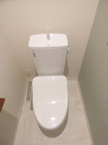 ＳＨＭ　Ｓｐｒｉｎｇ　Ｔｅｒｕ　＊ A0203号-13