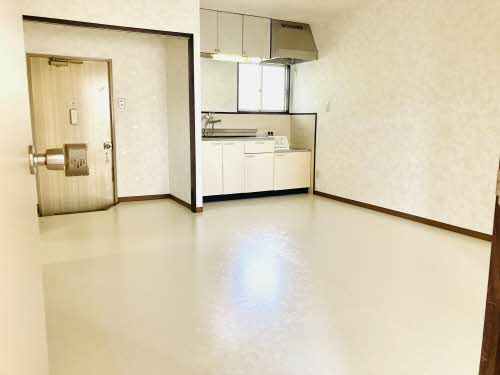 ホワイトパール H0105号-15