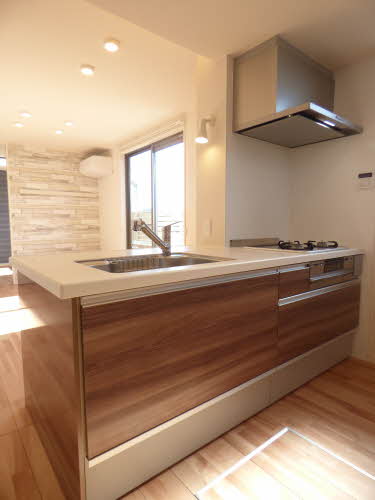 ＳＨＭ　Ｆｅｌｉｓｅｅｄ　ＫＨ　＊ A0101号-11