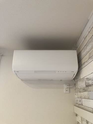 ＳＨＭ　Ｆｅｌｉｓｅｅｄ　ＫＨ　＊ A0102号-5