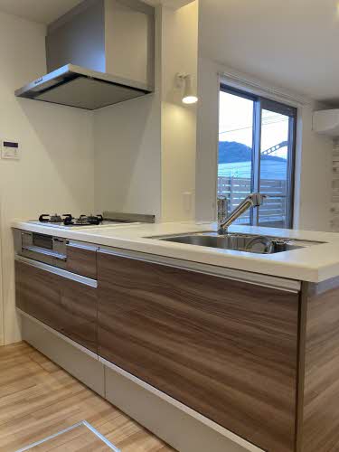 ＳＨＭ　Ｆｅｌｉｓｅｅｄ　ＫＨ　＊ A0102号-7