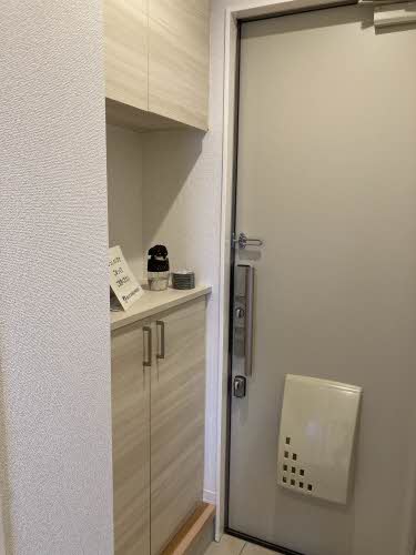 ＳＨＭ　Ｆｅｌｉｓｅｅｄ　ＫＨ　＊ A0102号-14