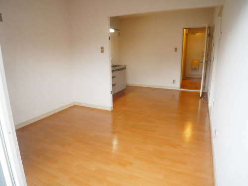 プリムローズ A0206号-2