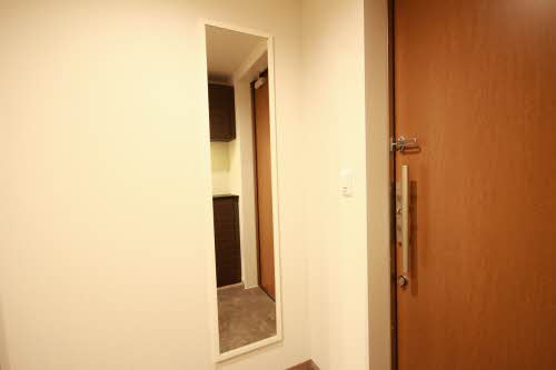 ＳＨＡＭＡＩＳＯＮ　ＧＲＡＮＦ　＊ A0301号-9