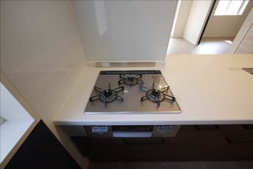 Hale Pueo * A0201号-11