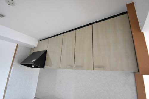 コスミオスコート A0602号-10