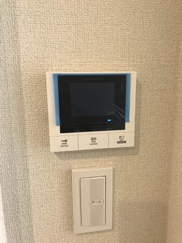 ＳｈａＭａｉｓｏｎ　Ｎｉｓｈｉｊｉｎ　Ｓｔａ． A0301号-11