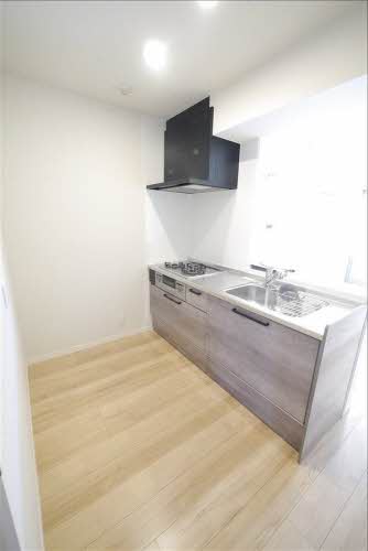 ＳｈａＭａｉｓｏｎ　Ｖｉｖａｃｅ　＊ A0304号-4