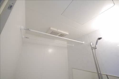 ＳｈａＭａｉｓｏｎ　Ｖｉｖａｃｅ　＊ A0304号-9