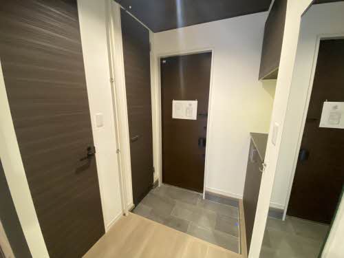 ＡＬＳＴＲＯＭＥＲＩＡ　＊ A0102号-13