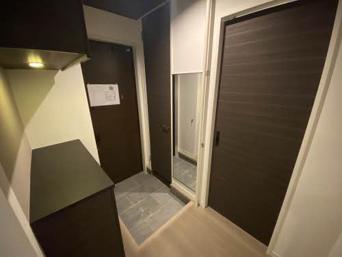 ALSTROMERIA * A0105号-5