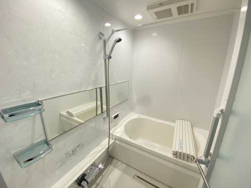 ALSTROMERIA * A0105号-10