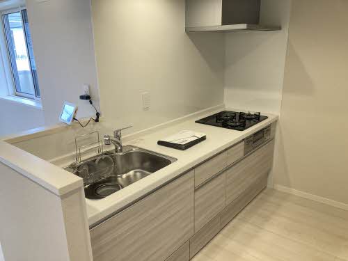 Ｓｈａｍａｉｓｏｎ　ｅｓｔ’　ｍａ－ｍａ　＊＊ A0201号-3