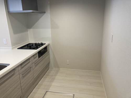 シャーメゾンRock Field * A0202号-11