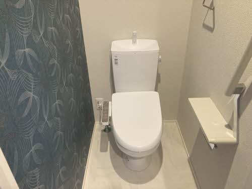 ＳｈａＭａｉｓｏｎ　ＡＬＩＶＩＯ　＊＊ A0101号-6