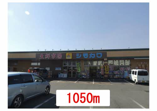 シャーメゾン須屋　Ⅱ　Ａ棟　＊＊ A0101号-4