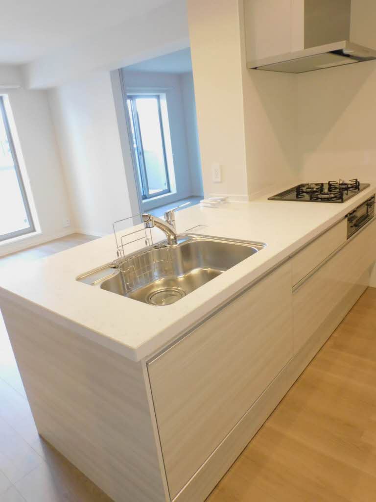 シャーメゾン大龍Ⅰ棟 A0301号-3