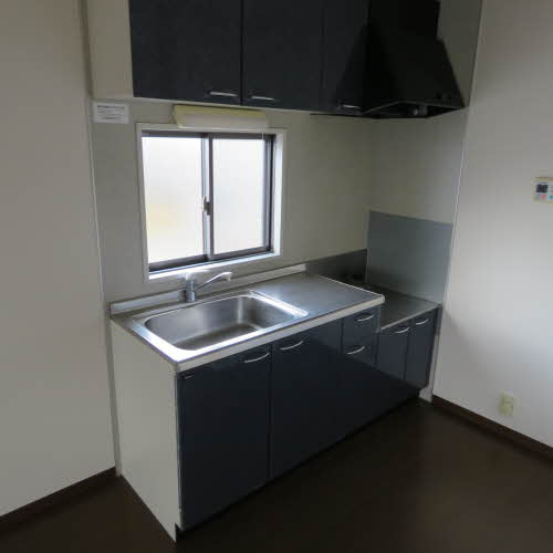 ベジタブルＲ・Ｙ・Ａ　＊＊ A0202号-3