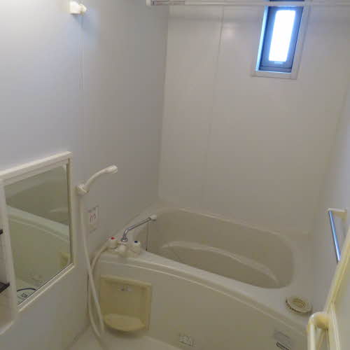 ベジタブルＲ・Ｙ・Ａ　＊＊ A0202号-4