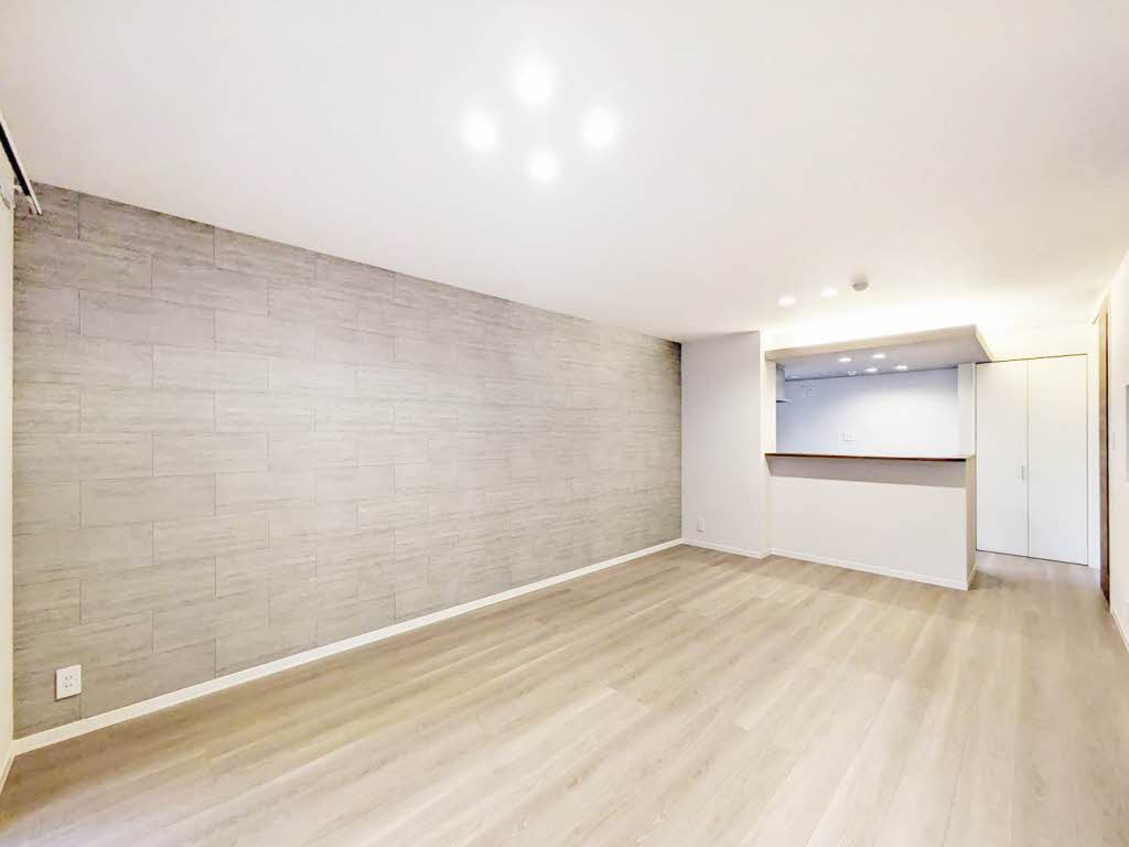 Ｐｌｕｍｊｕ． A0101号-2