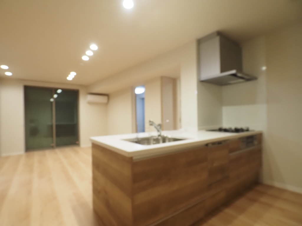 ＷｉｔｈＰｌｕｓ天保山公園 A0104号-5