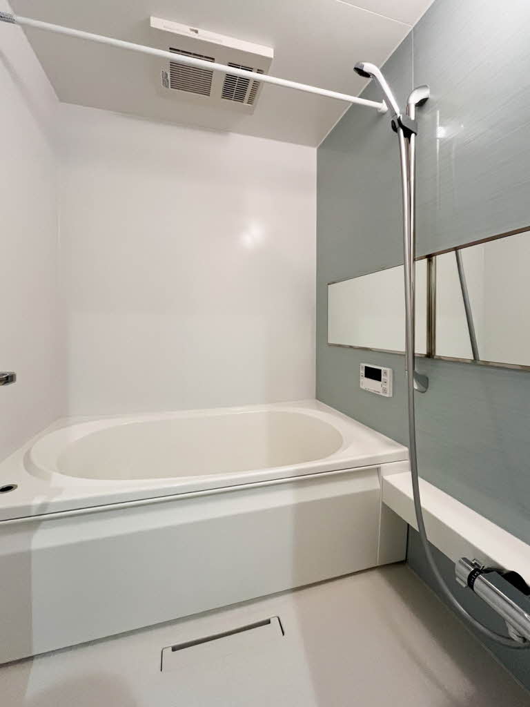 シャーメゾン赤坂けやき通り A0101号-10