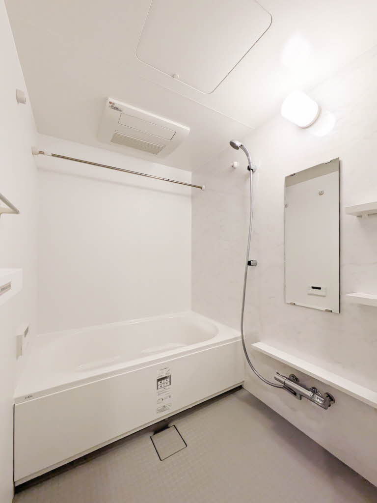 Ｎｕｄｇｅｏｎｅ．照葉 A1101号-11