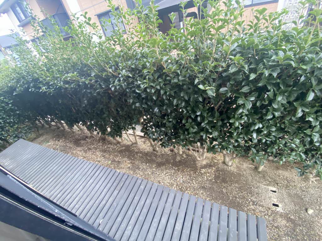 クロワール２０００　Ａ棟　＊ A0102号-13