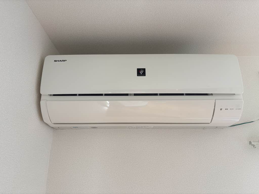 エントピア黒髪 ** A0101号-9