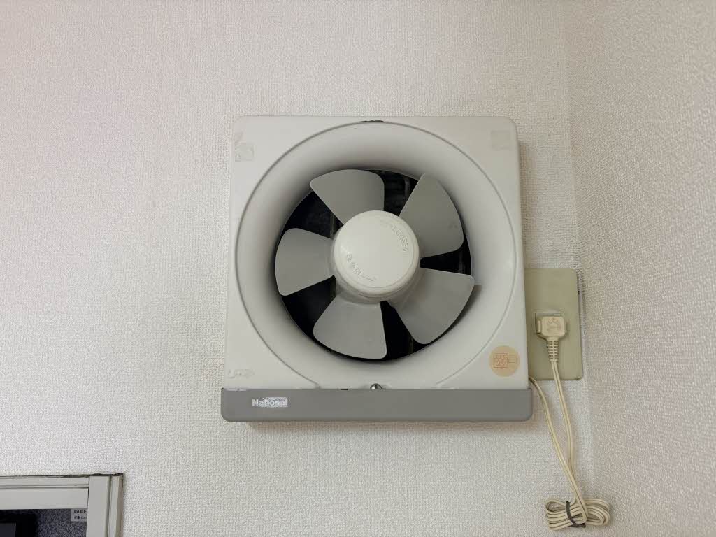 エントピア黒髪 ** A0101号-10