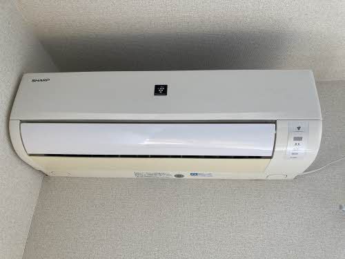 エントピア黒髪 ** A0201号-4